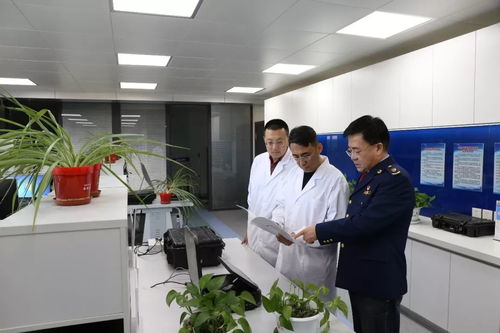 大數據驅動的定制化監測 如何利用軟件開發高效發掘與研判網絡食品安全案件線索